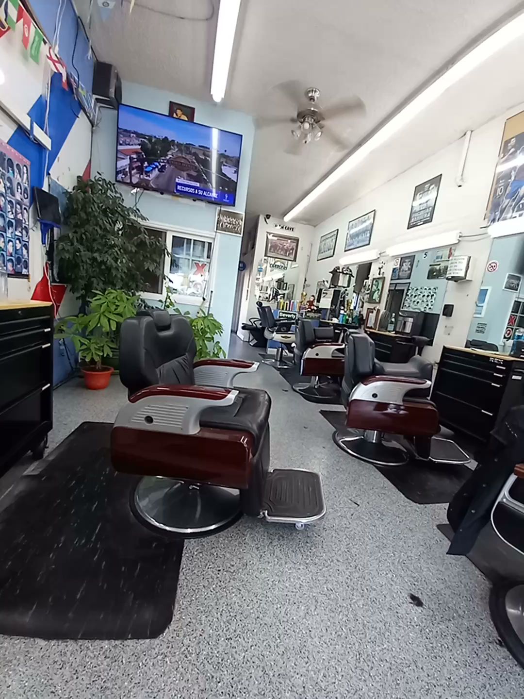 Rex Barbershop and Beauty salon