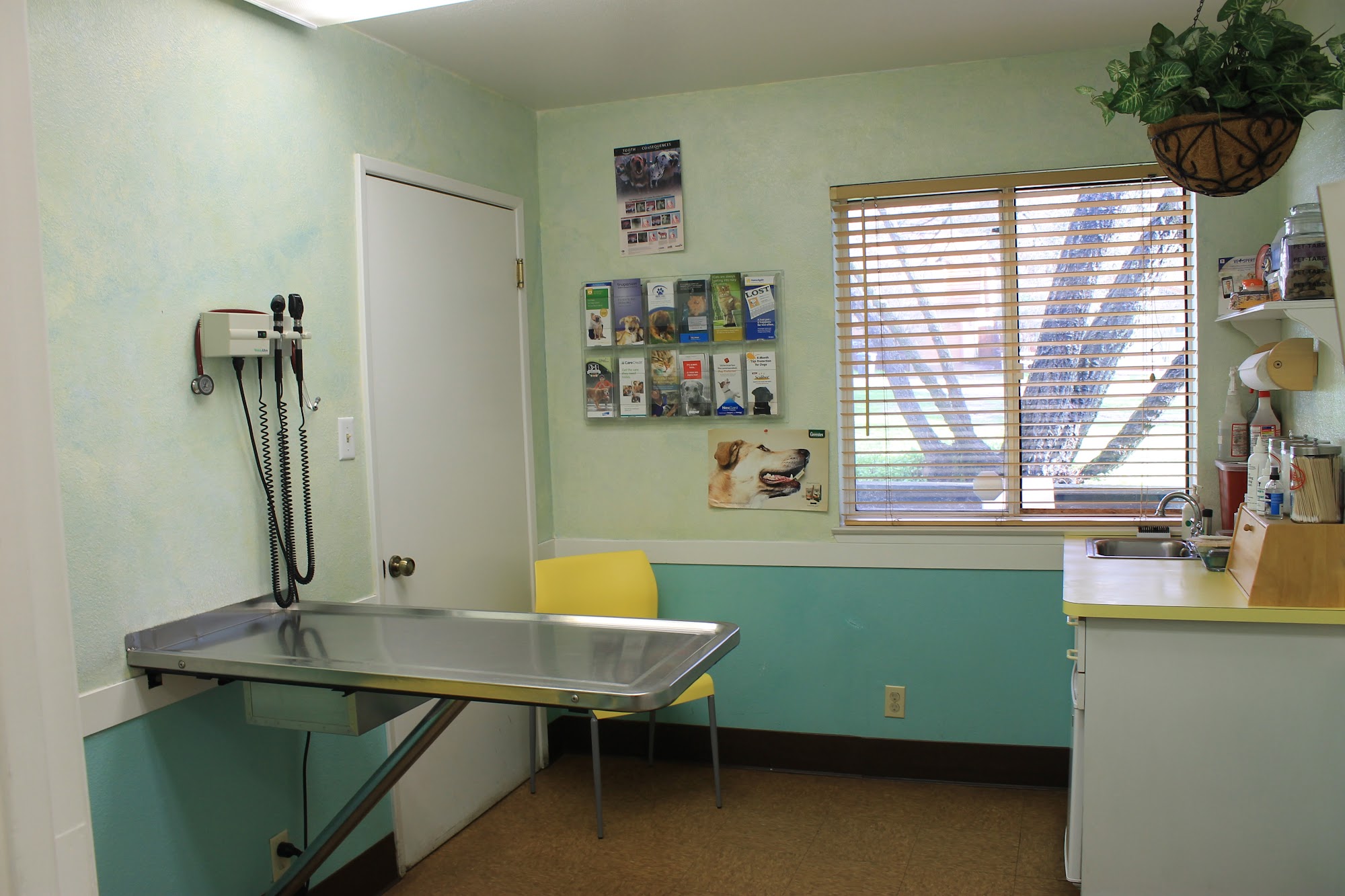 Clearlake Veterinary Clinic 3424 Emerson St, Clearlake California 95422