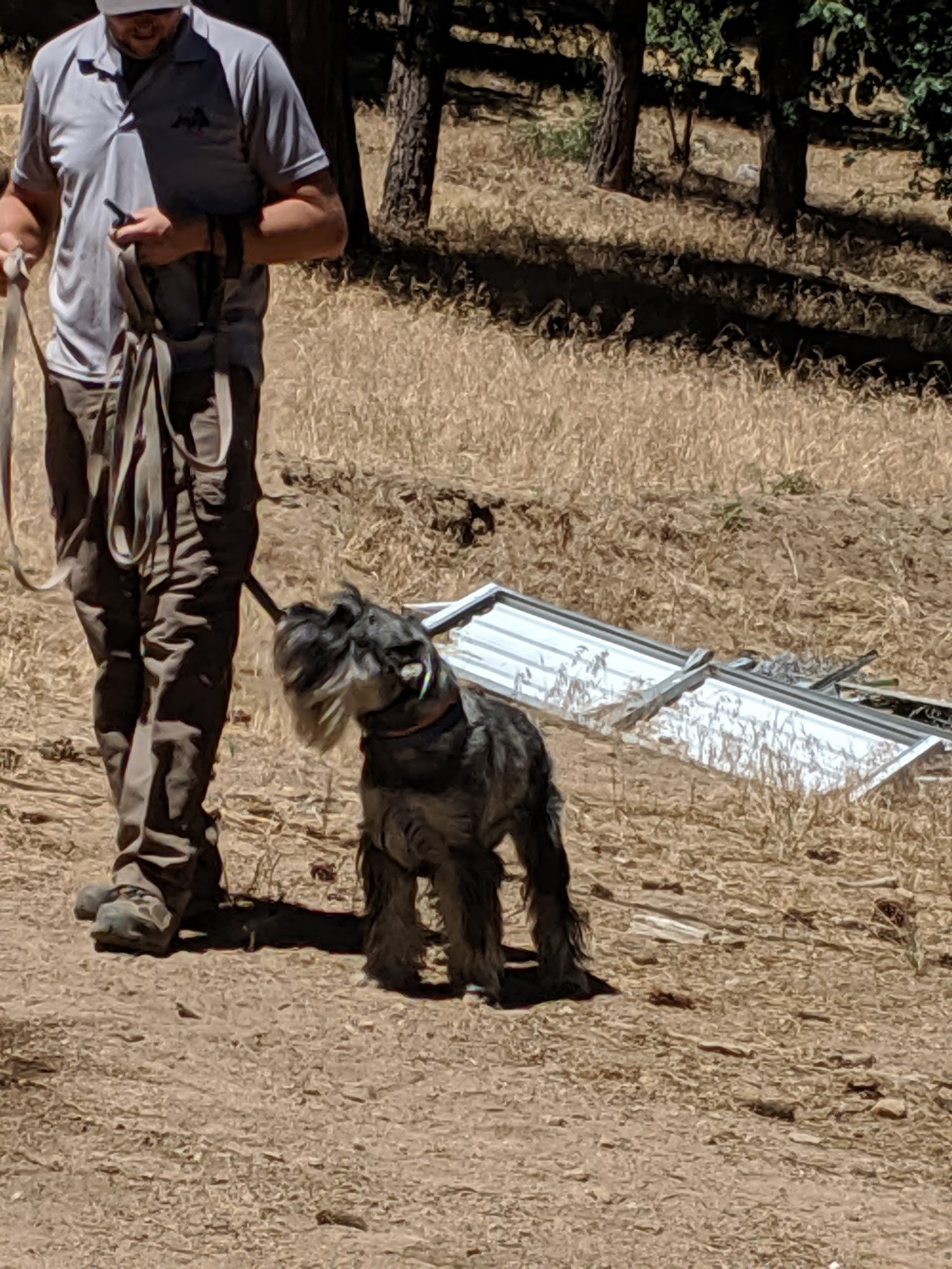 Double Dog Ranch Crestline