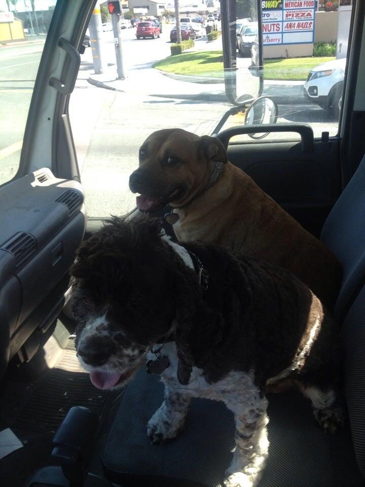 Photo credit: nextdoor