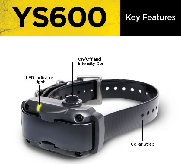 K9 Electronics Dana Point