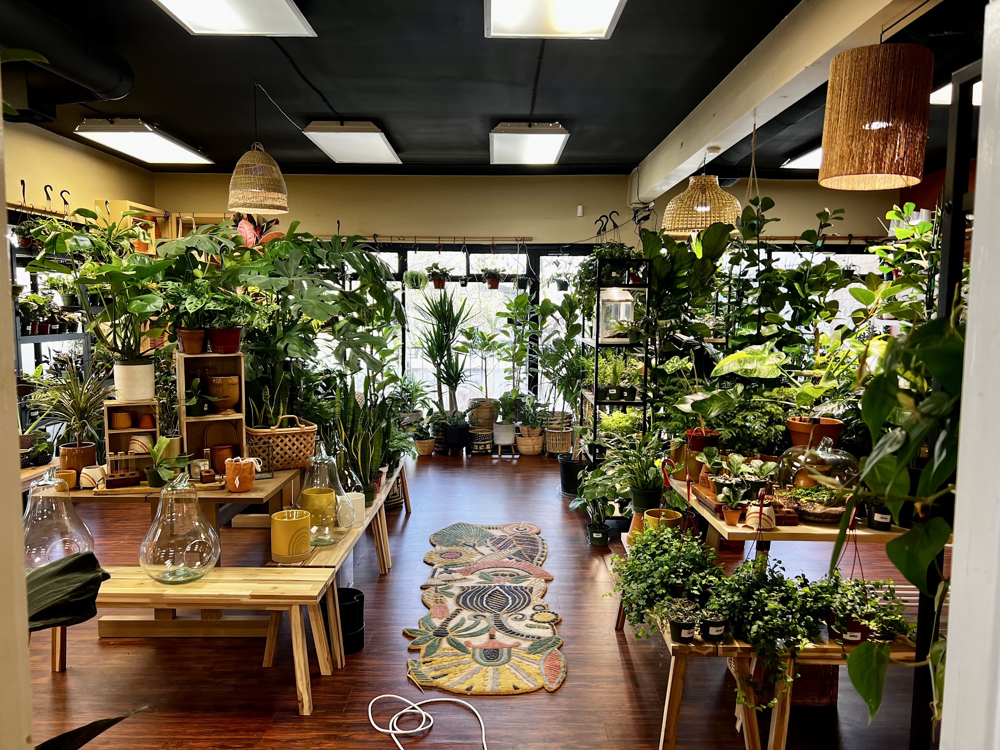 The Growing Groves Plant Shop