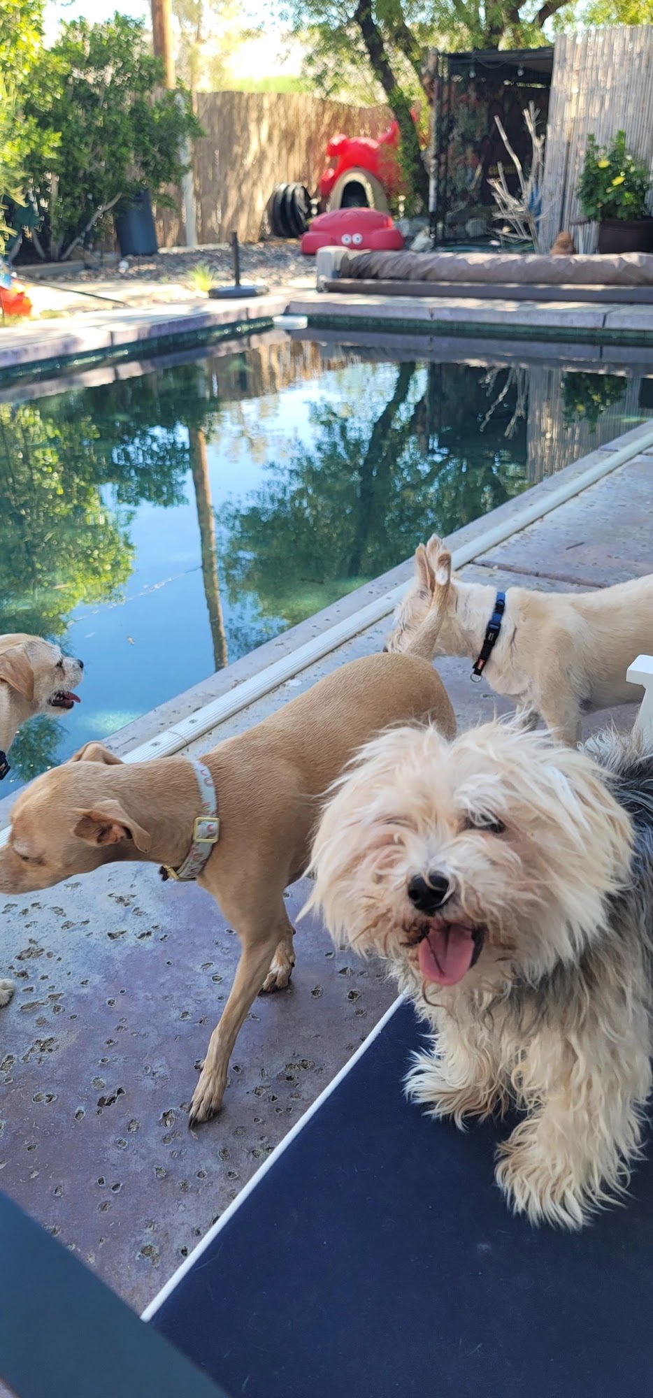 Kamp Kelly Desert Hot Springs