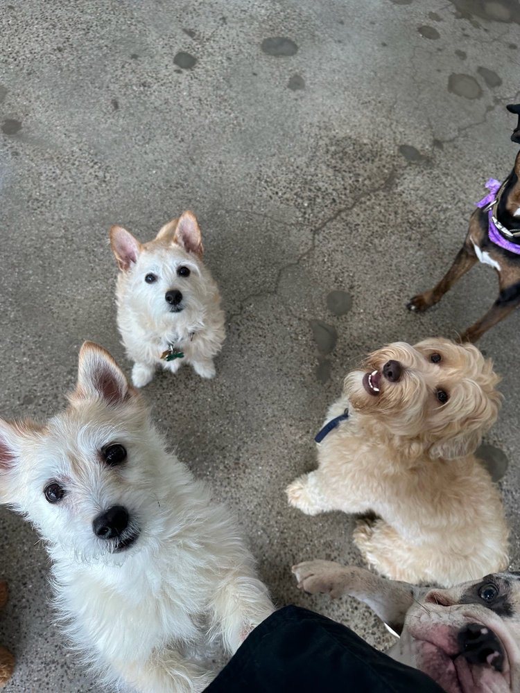 Petrock Hotel and Spa Encino