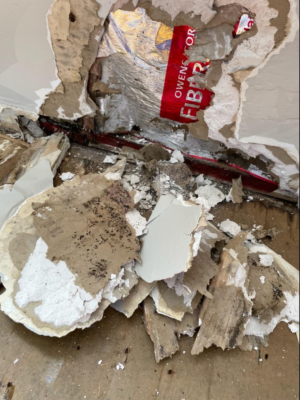 Mold Test Sacramento