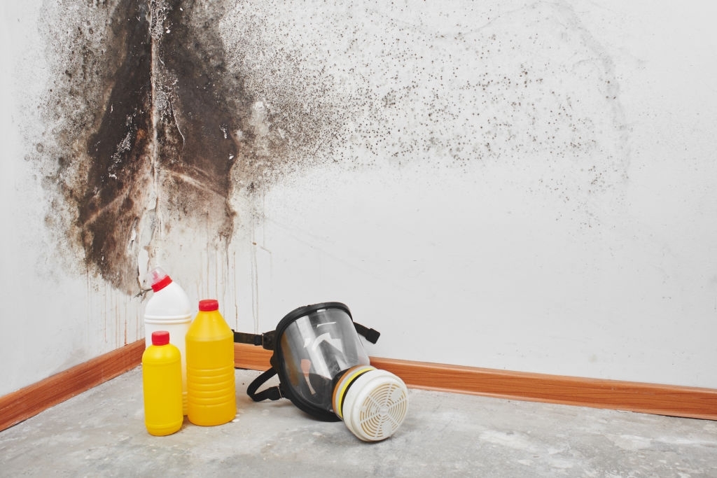 Drawin Mold Removal & Remediation Fairfield CA