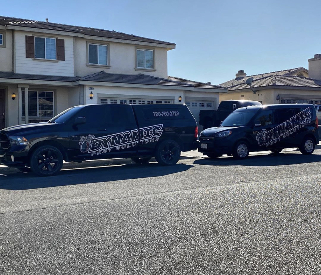 Dynamic pest solutions IE