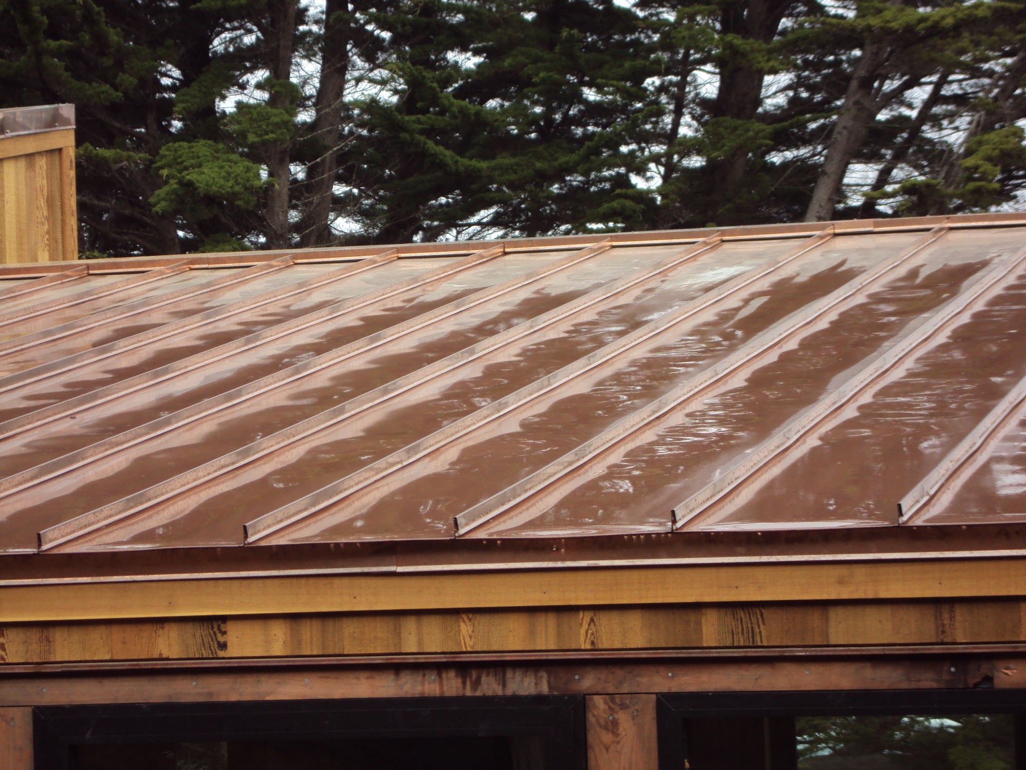 Redwood Roofers