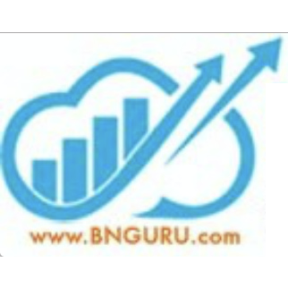 Beyond Numbers Guru Business Services