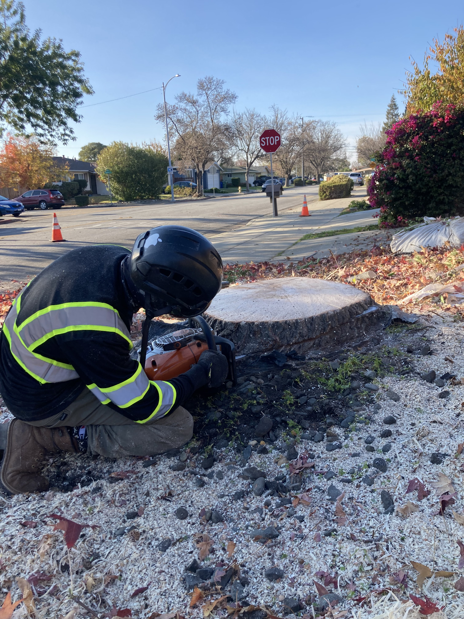 Fremont Tree Service