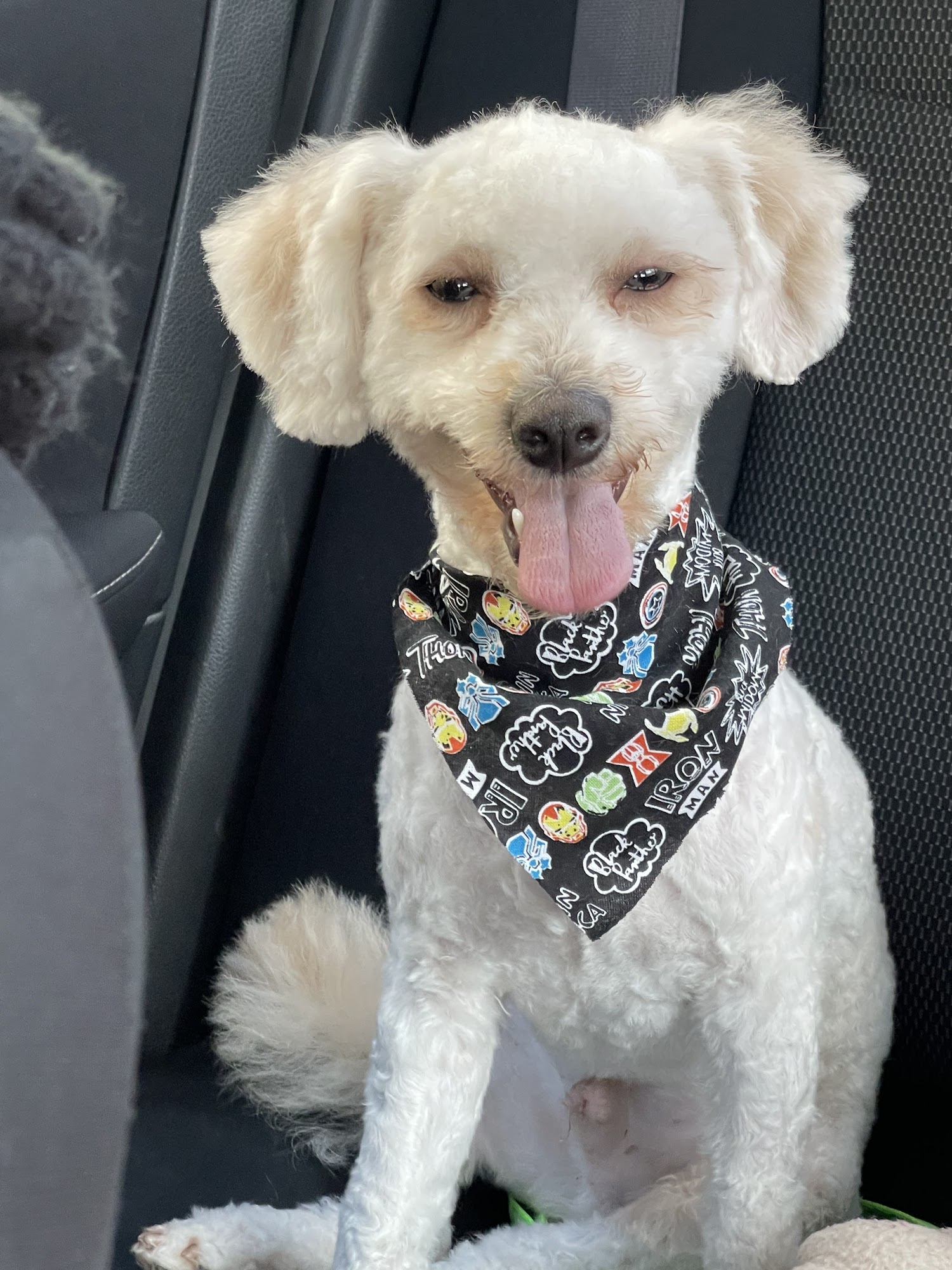 100% Fancy Grooms Fresno