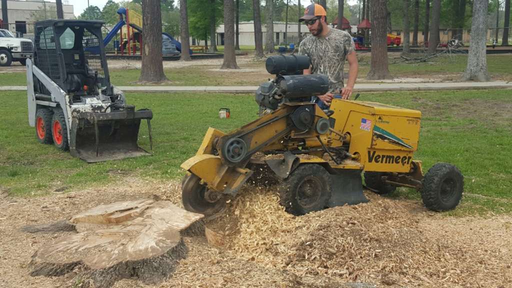 A Cut Above Tree Services