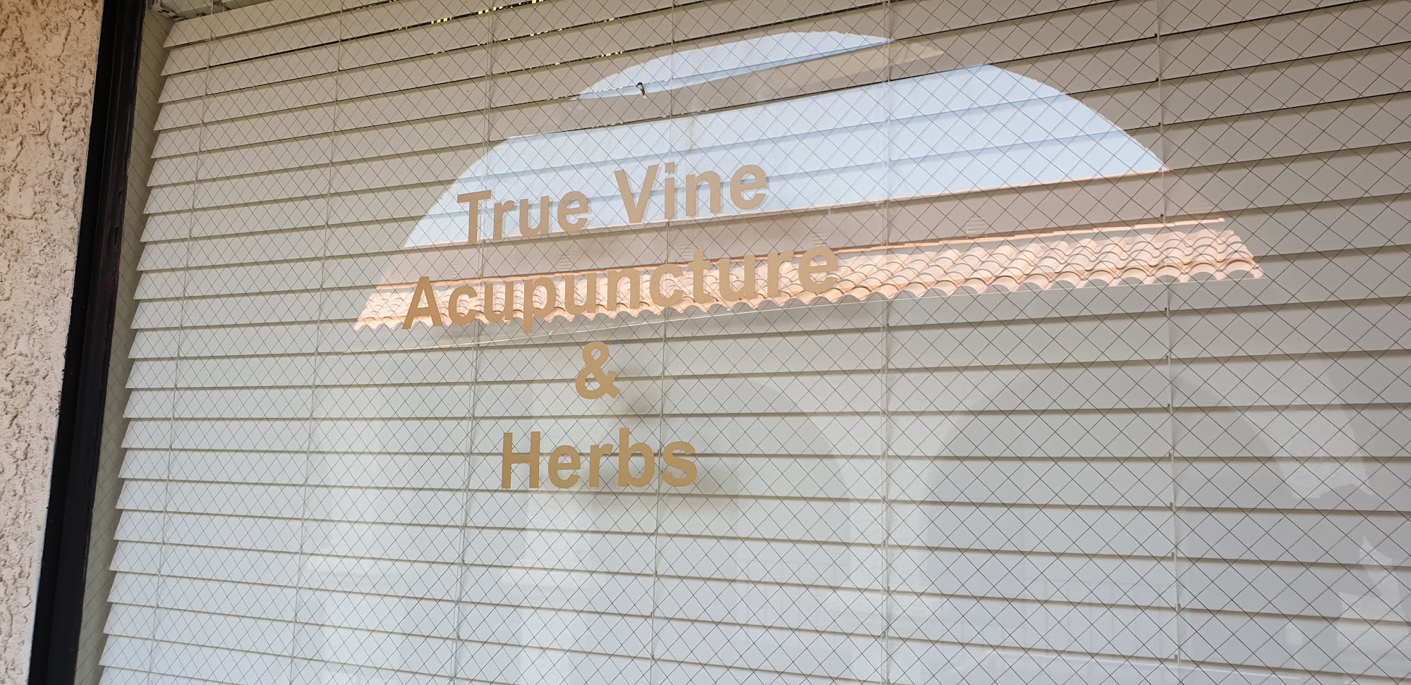 True Vine Acupuncture & Herbs