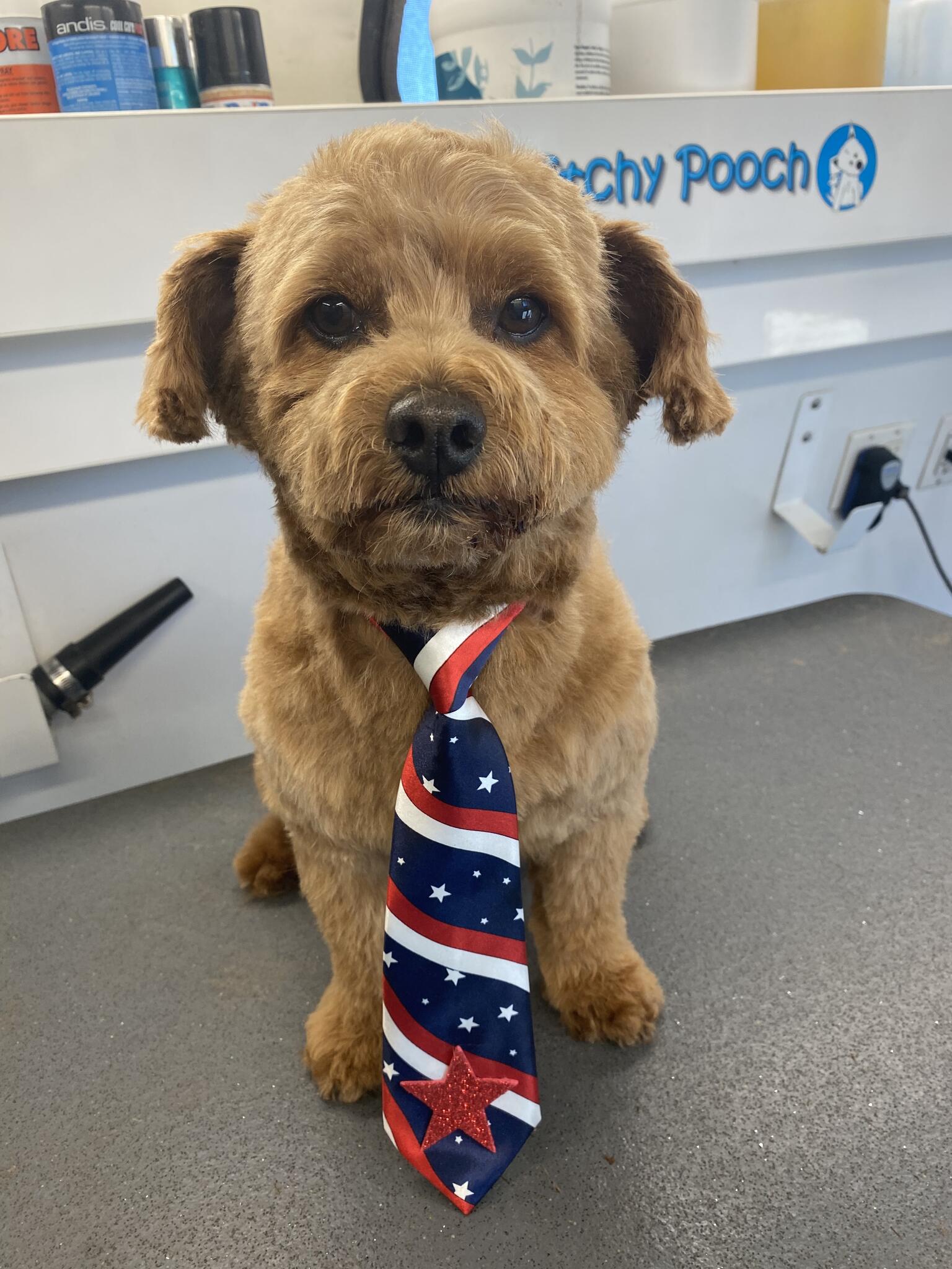 The Itchy Pooch Hanford