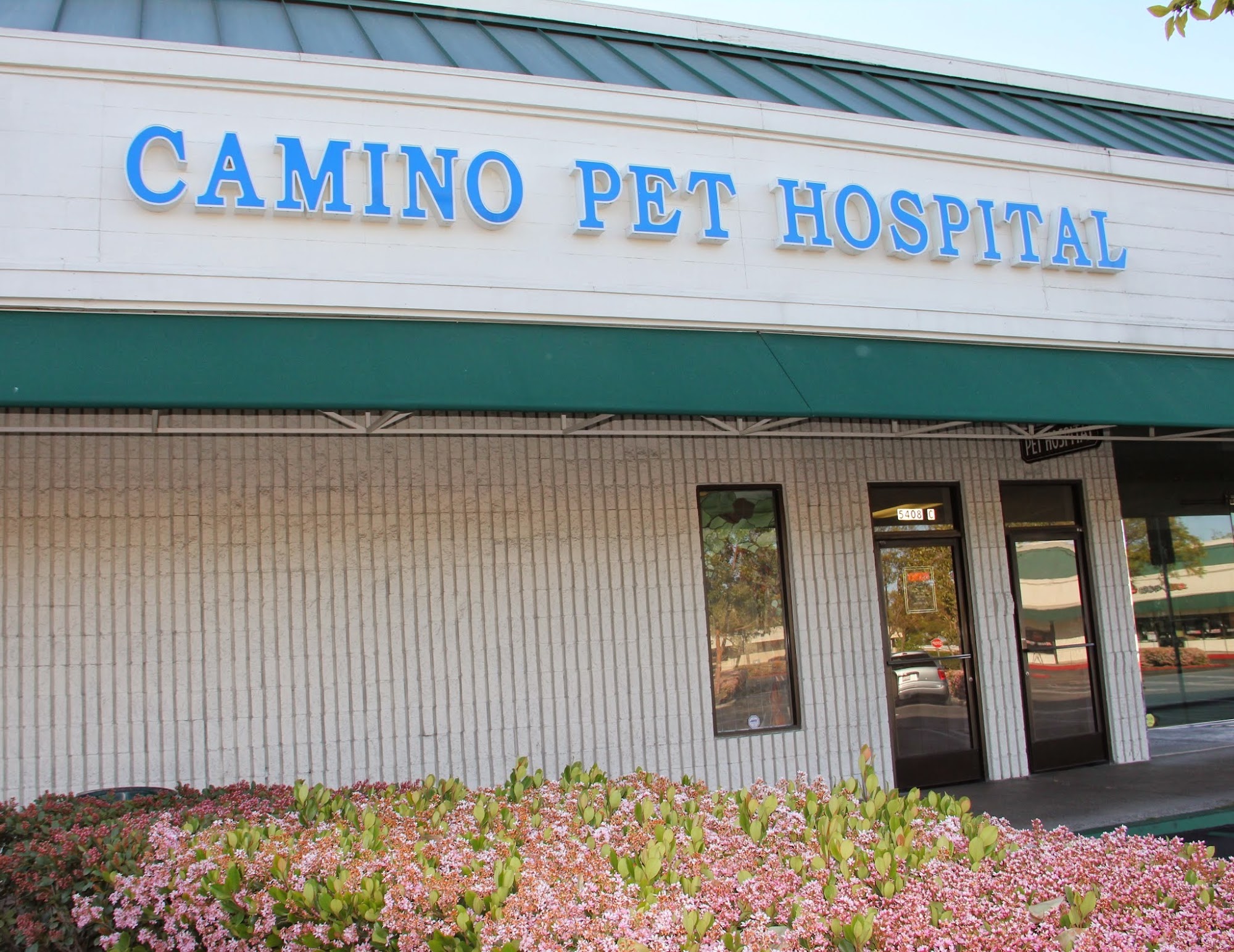 Camino Pet Hospital