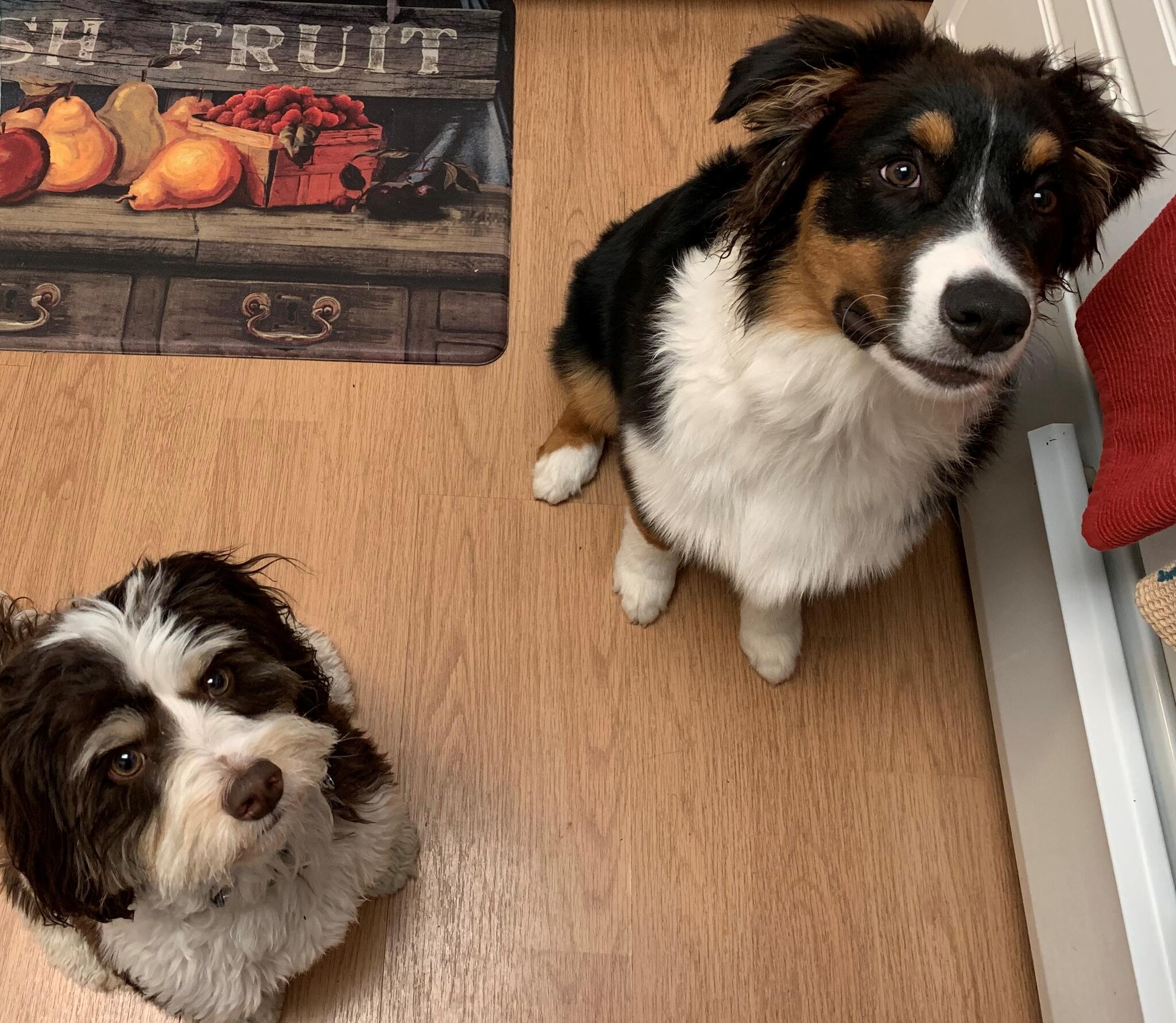 Photo credit: nextdoor