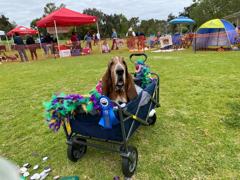 Quail Animal Hospital Irvine