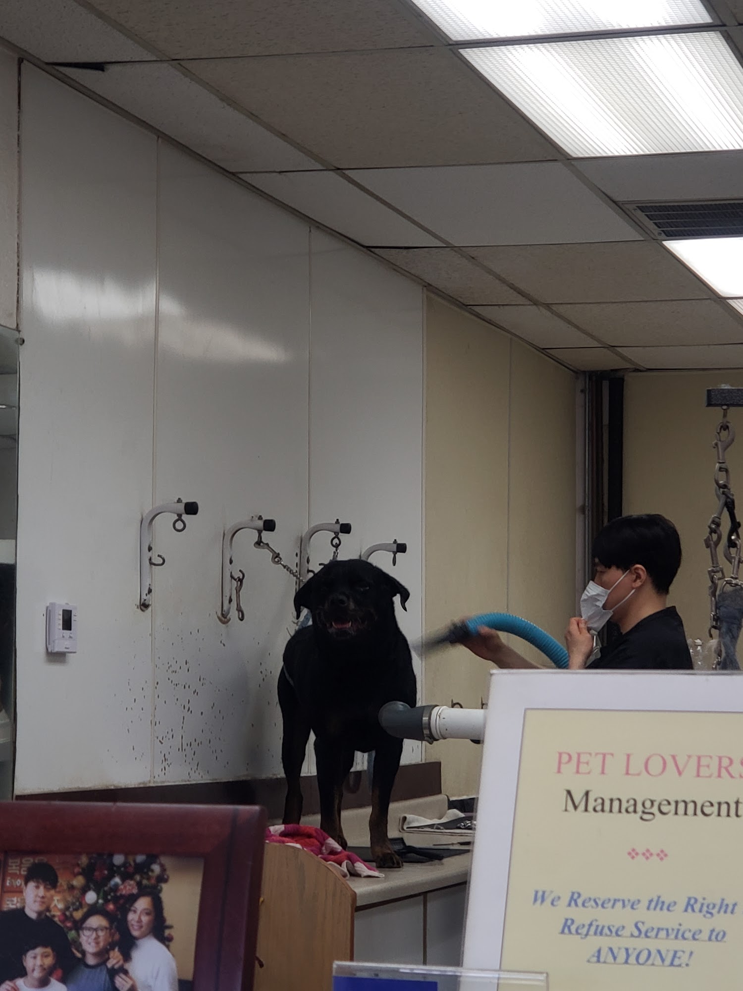 Pet Lovers Dog Grooming La Habra