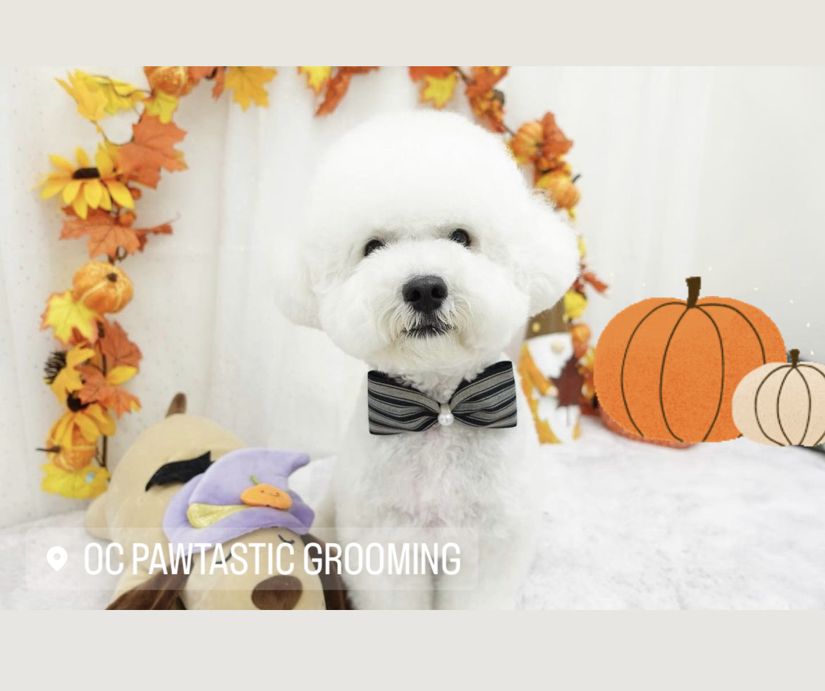 OC Pawtastic Grooming