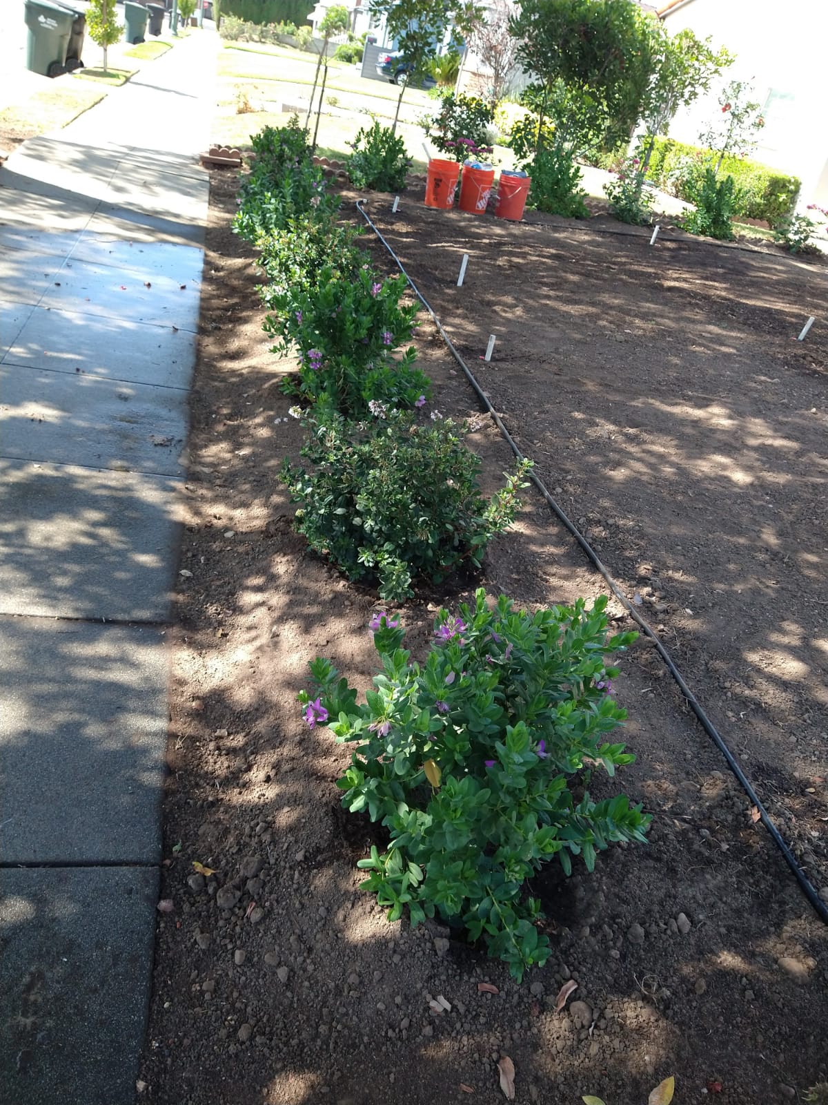 Serenity Gardening & Landscaping Services