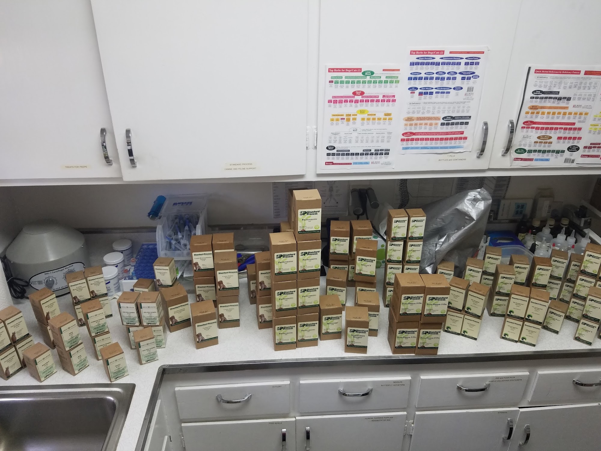 Alternatives for Animals Lafayette