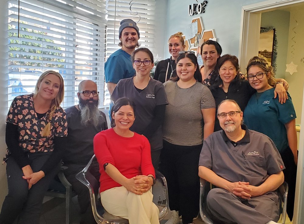 Laguna Beach Animal Hospital: Self Jennifer DVM Laguna Beach