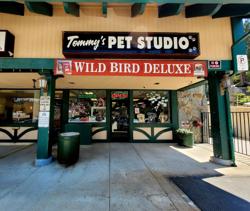 Tommy's Pet Studio