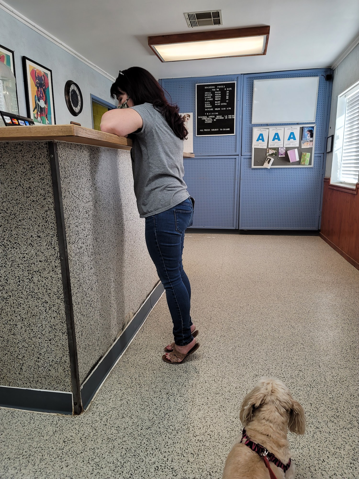 Canine Country Club Lancaster