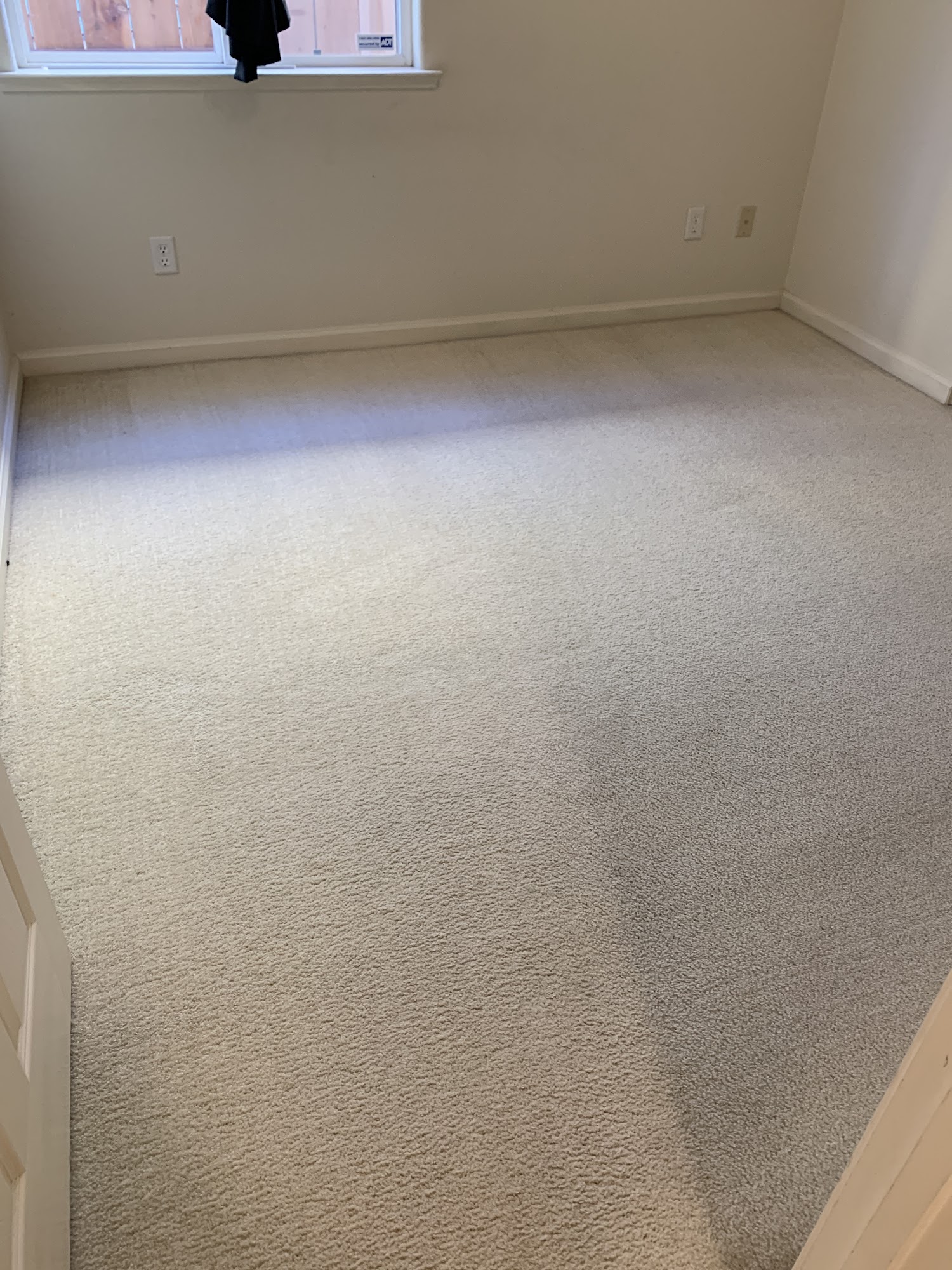 Delta Steam Carpet & Upholstery Cleaning 125 D'Arcy Pkwy, Lathrop California 95330