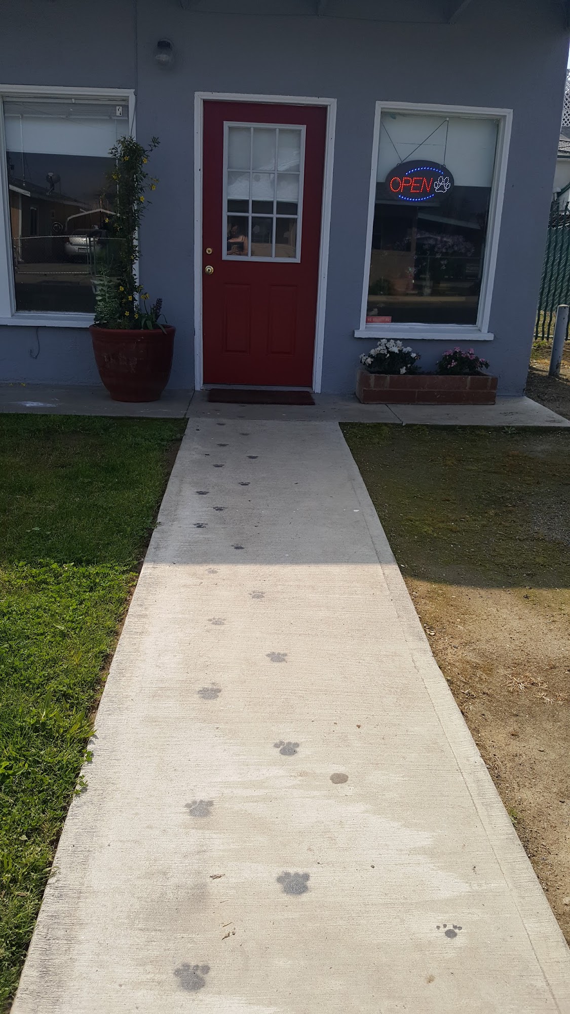 Dog Grooming by Diane Lindsay