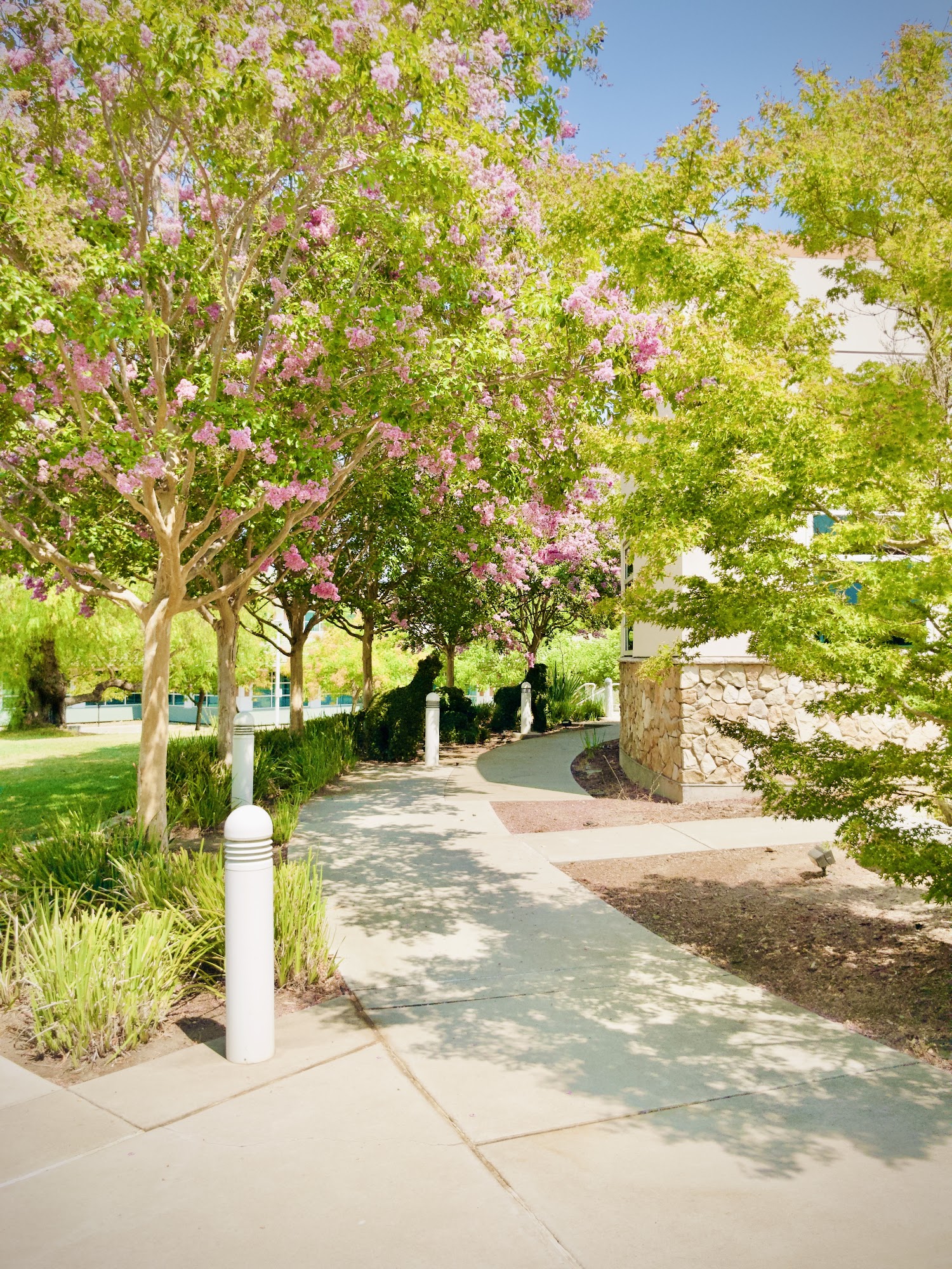 LIVERMORE PUBLIC LIBRARY - CIVIC CENTER - Livermore CA - Hours ...