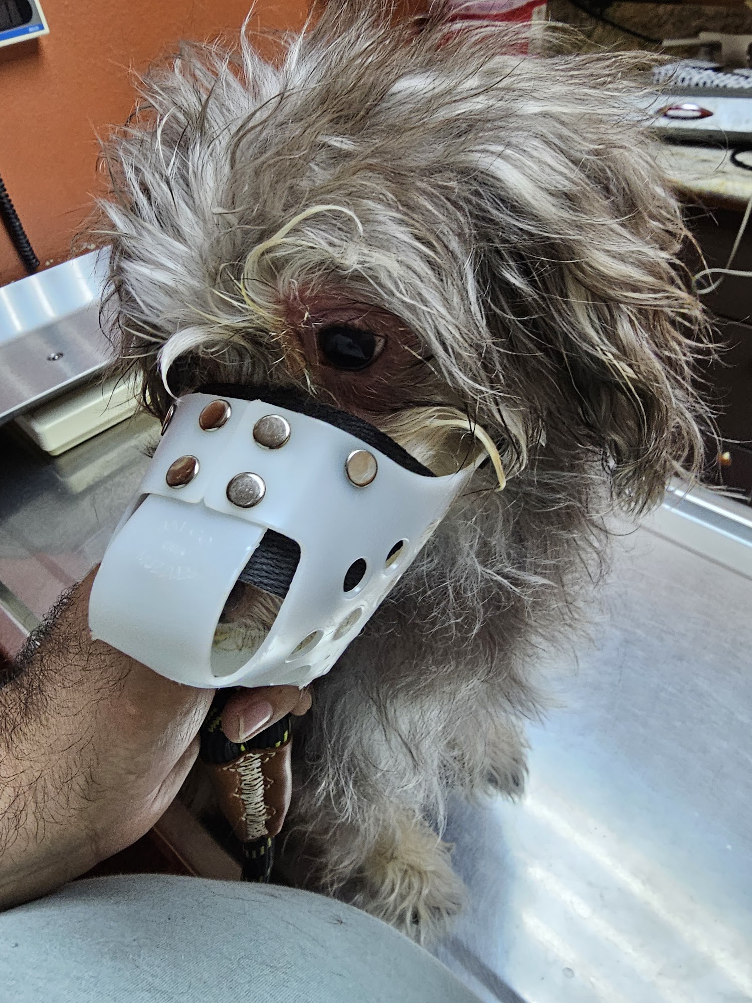 Mercy Animal Medical Center