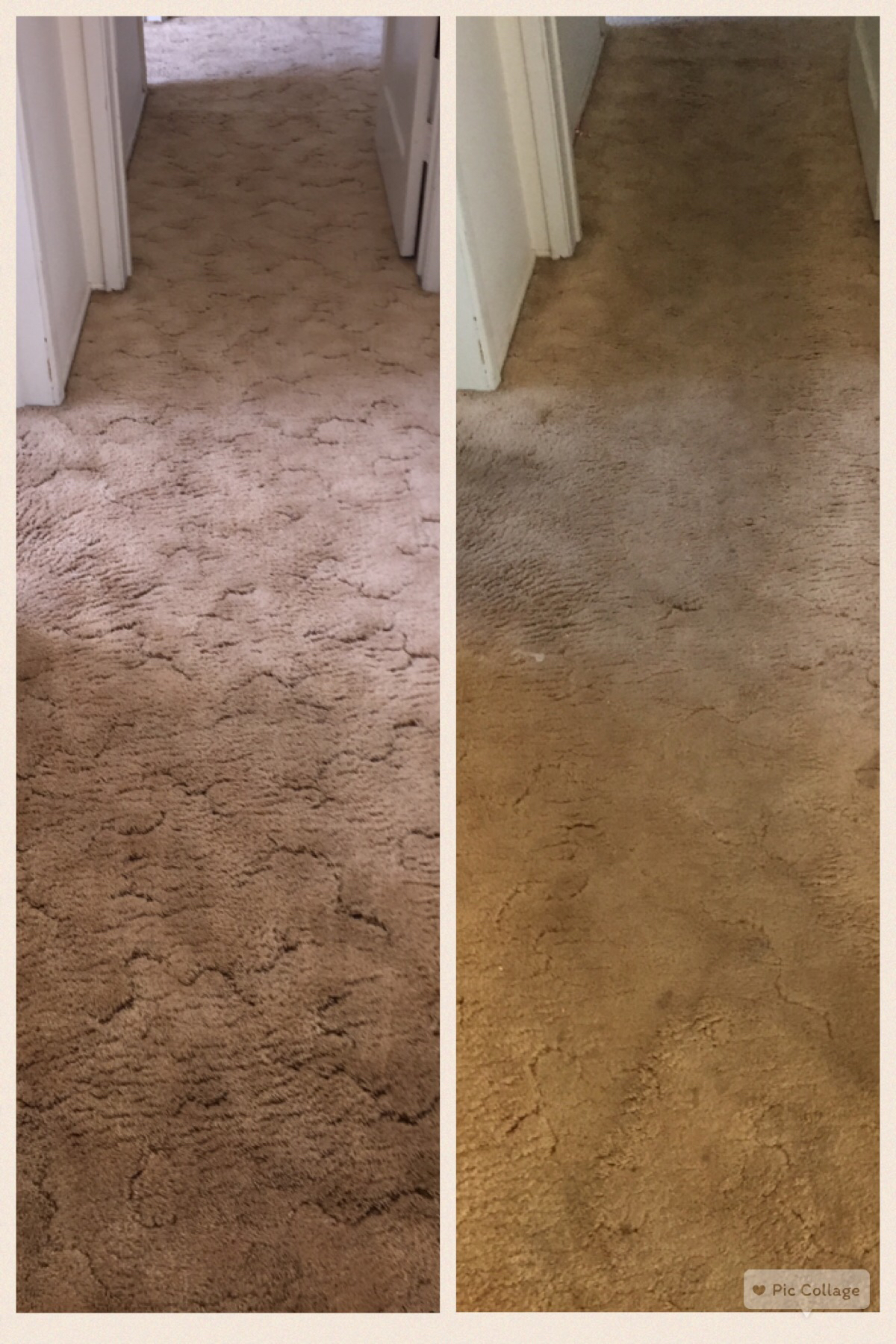 Mystic Steam Carpet & Upholstery Cleaning