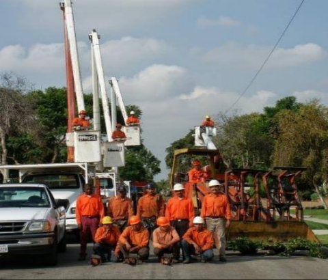 Economy Tree Care