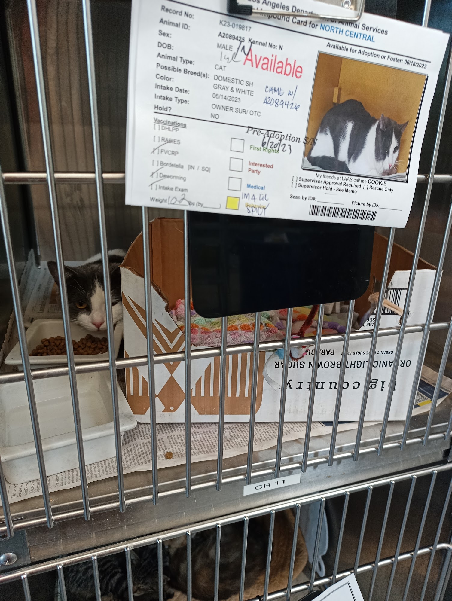 North Central Animal Shelter Los Angeles