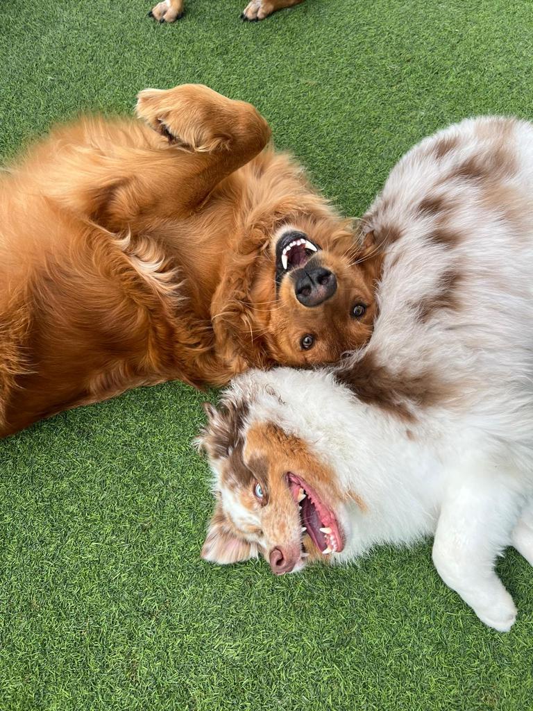 The Wags Club Los Angeles