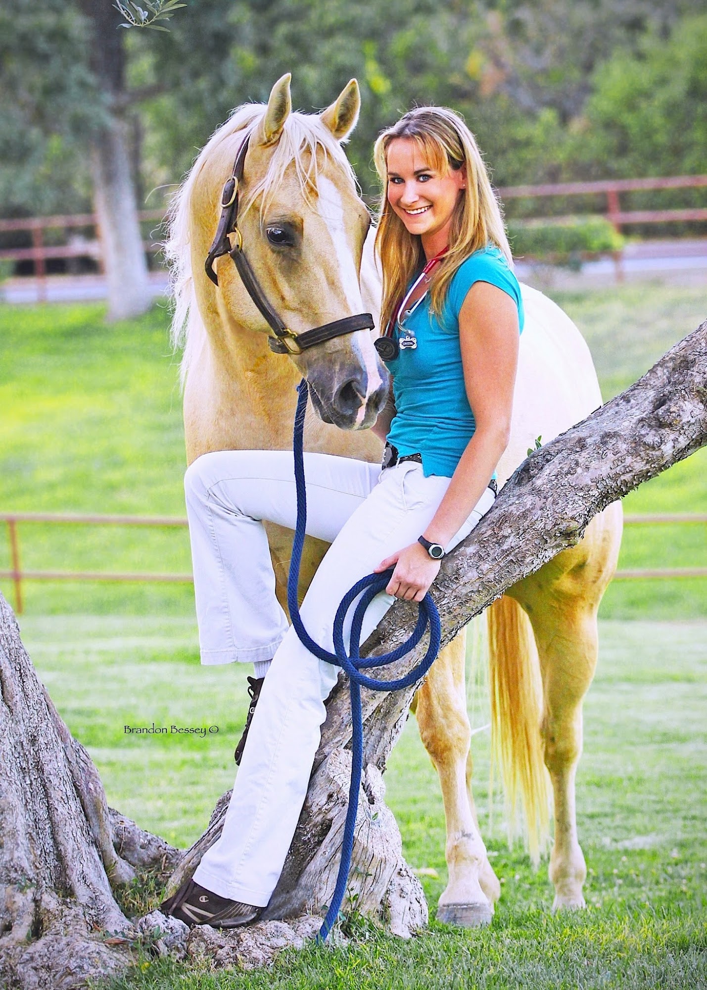 Alamo Pintado Equine Med Center