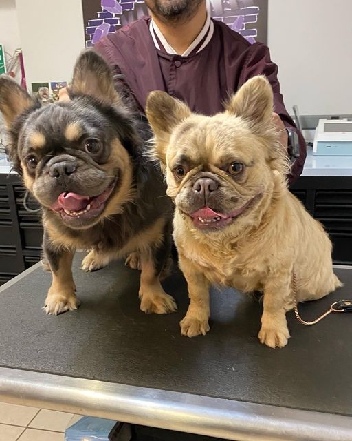 La Granja Animal Supplies Madera