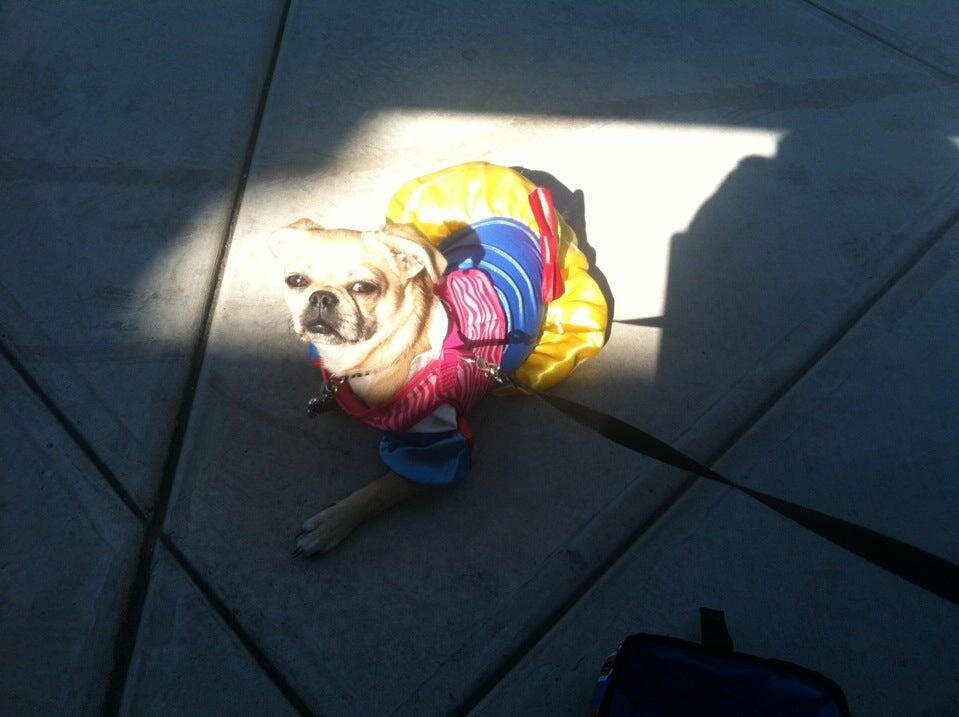 Photo credit: nextdoor