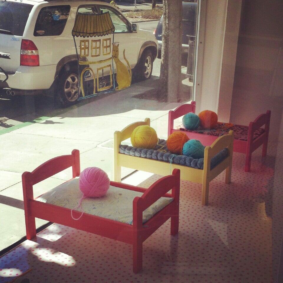 Kitty Charm School Mill Valley