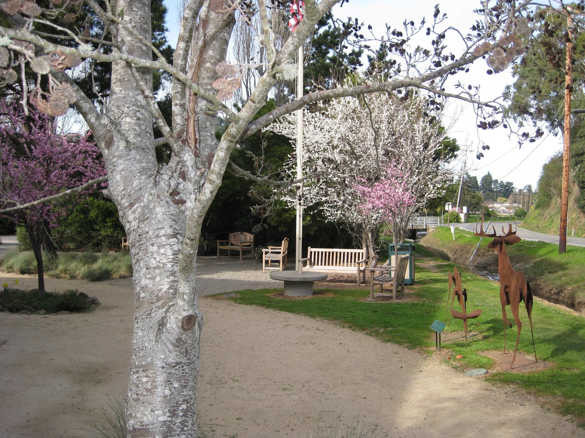 Tamalpais Community Services District