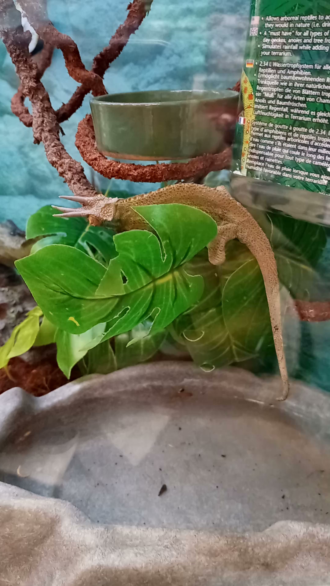 Pet Facilities in Montclair, California Pet Stores, Grooming, Pet