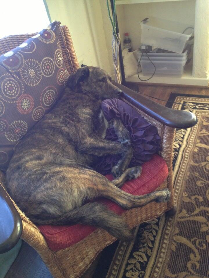 Photo credit: nextdoor