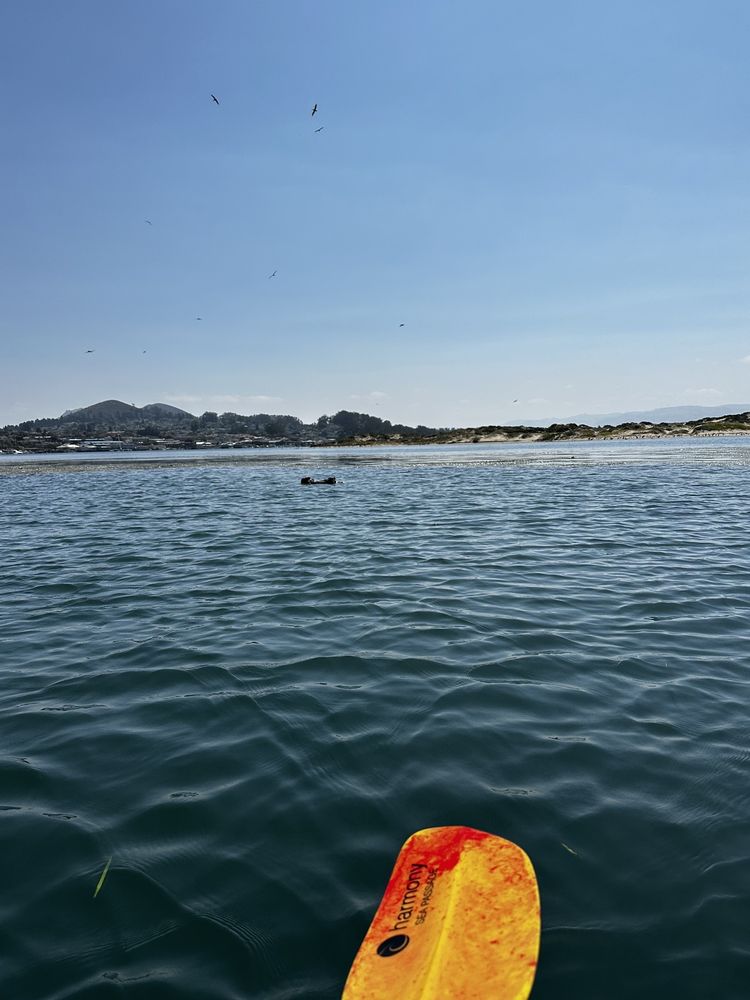 Morro Bay Paddlesports
