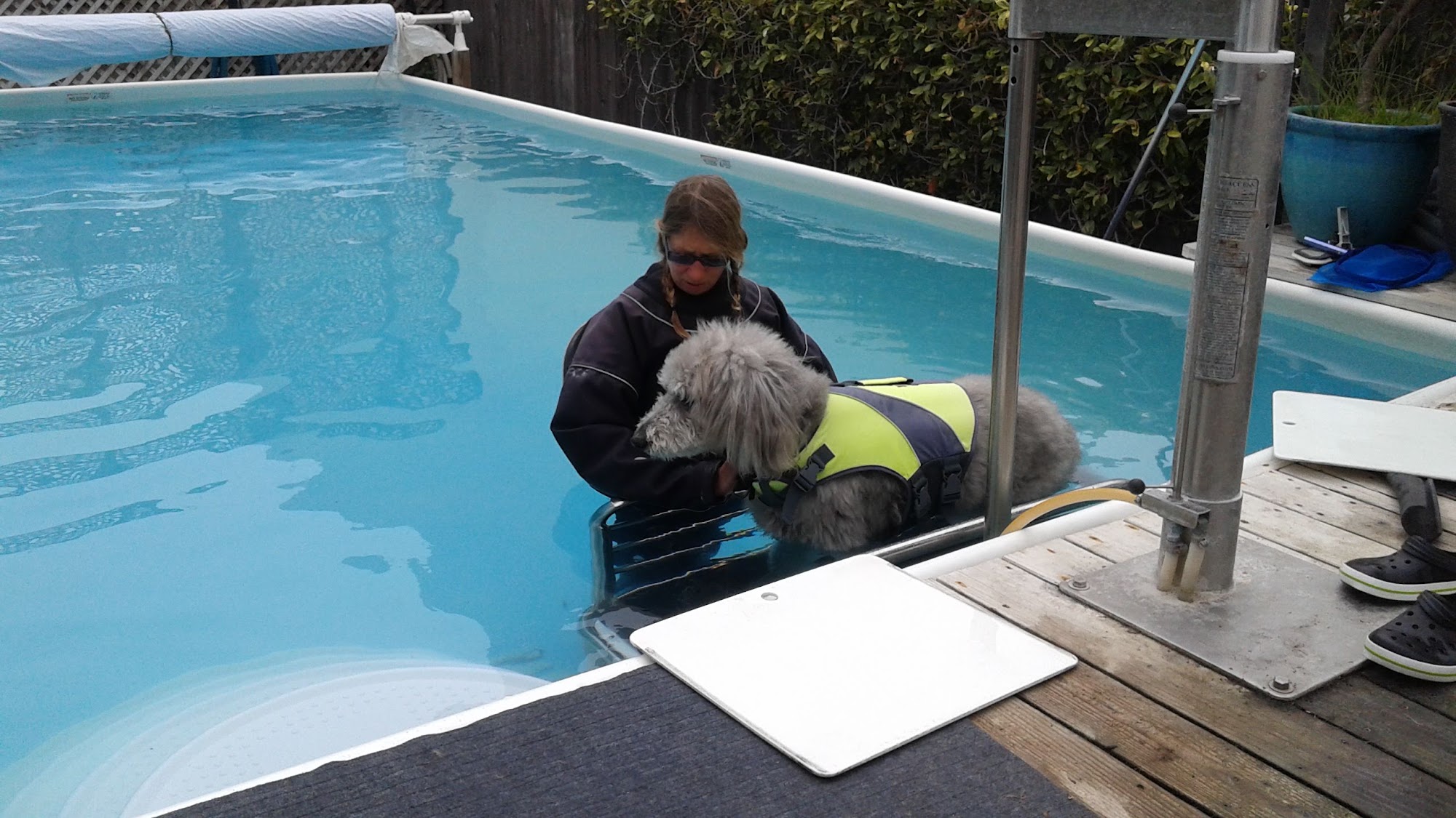 Splash-Dog Swim Therapy Morro Bay