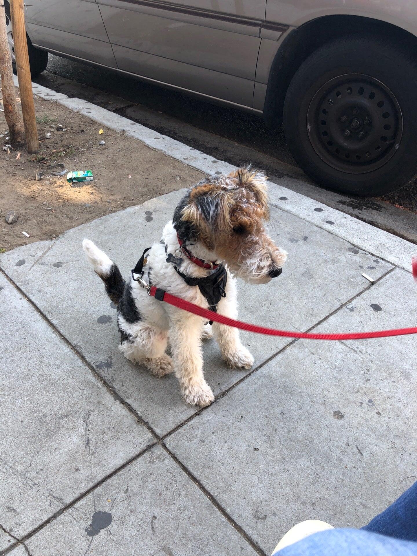 Photo credit: nextdoor