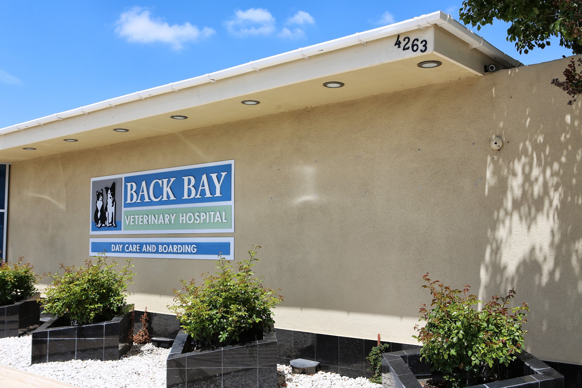 Back Bay Veterinary Hospital Newport Beach