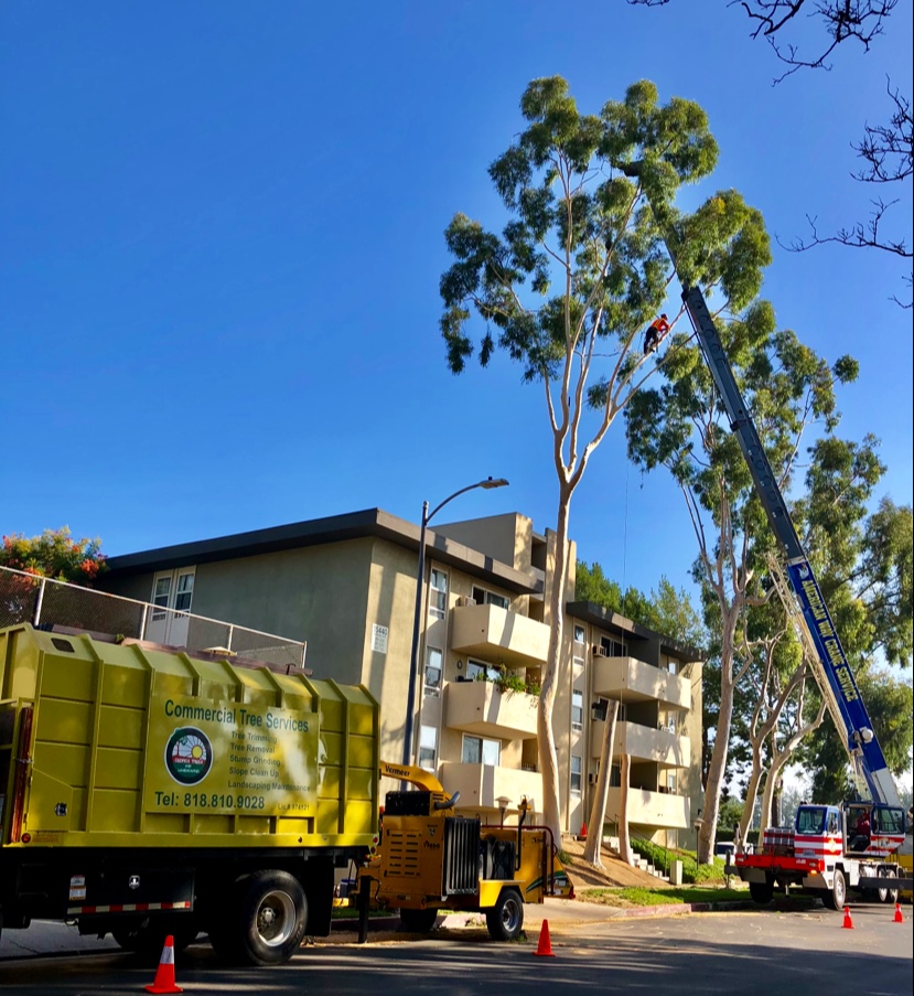 COMMERCIAL TREE SERVICES INC. #2332, North Hills California 91393