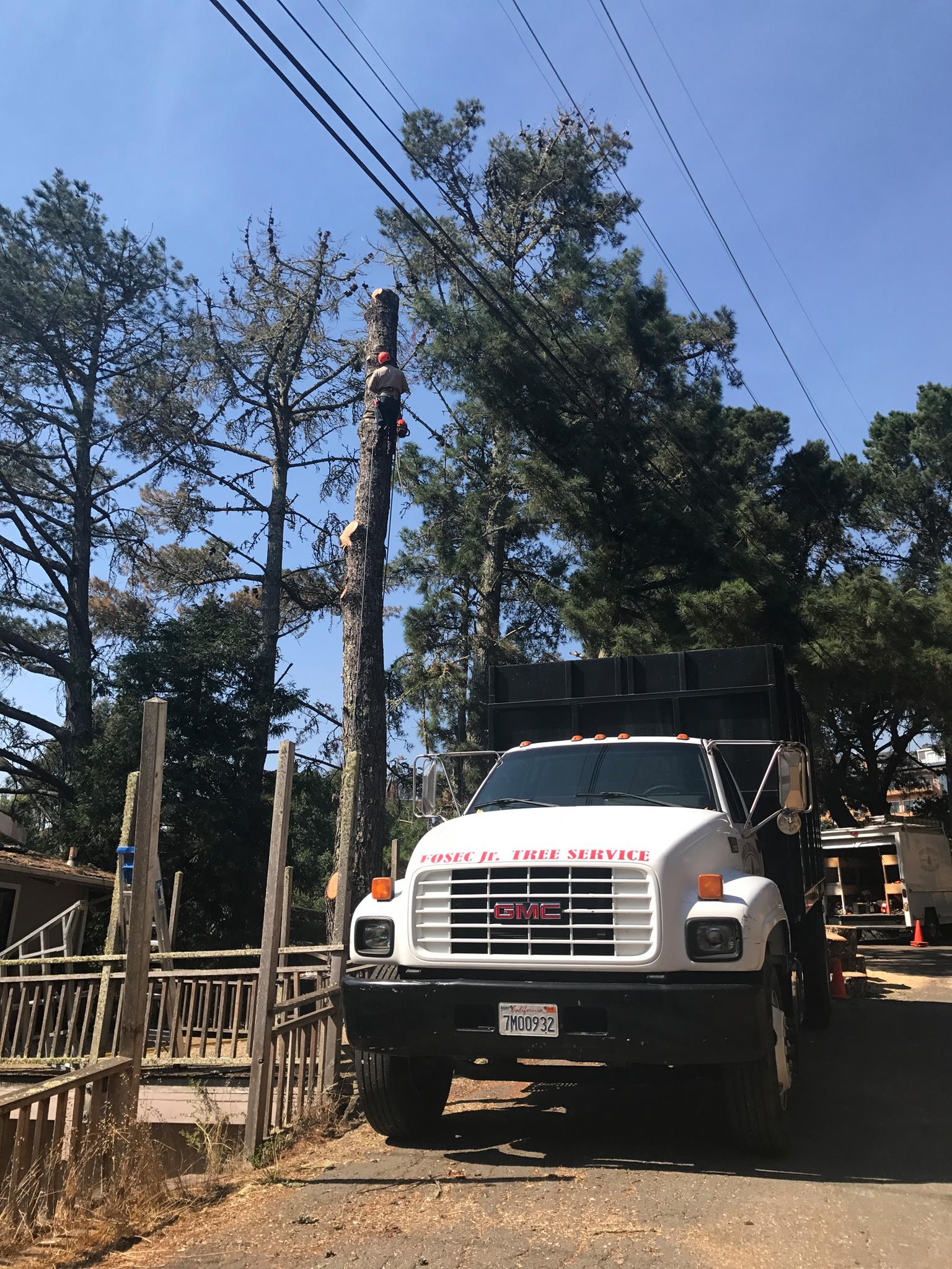 Fosec Jr Tree Service