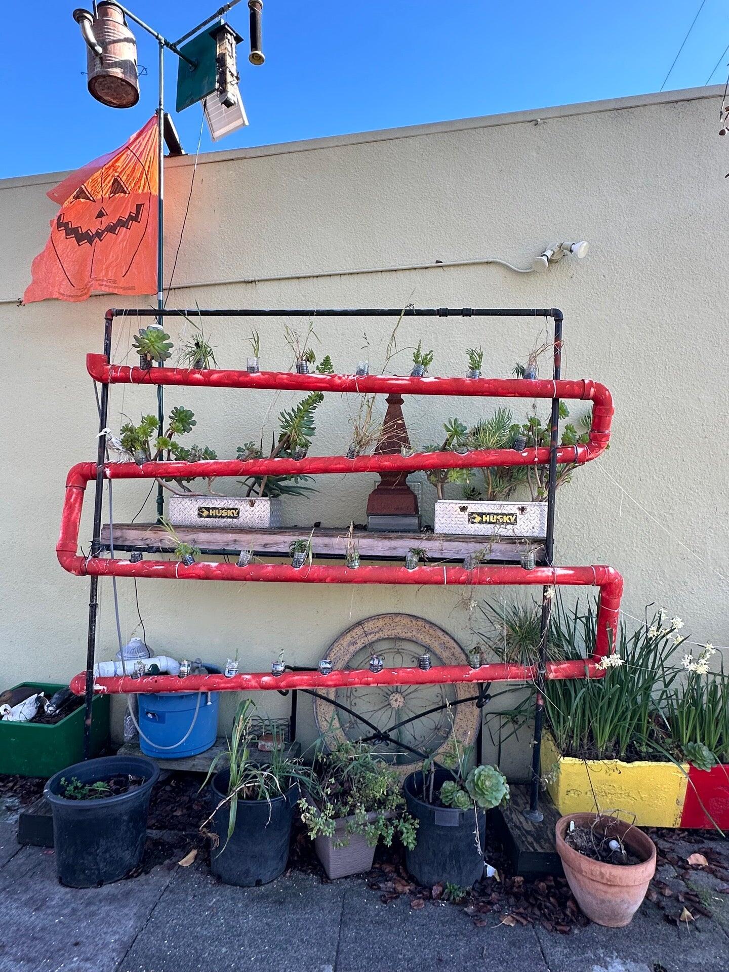 The Saint Sandwich Shop Oakland